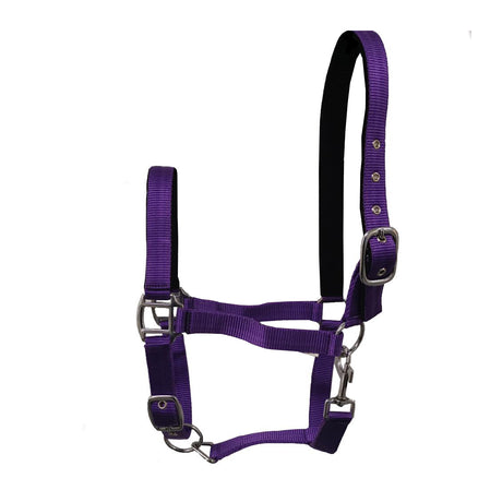 GS Equestrian Padded Head Collar #colour_purple